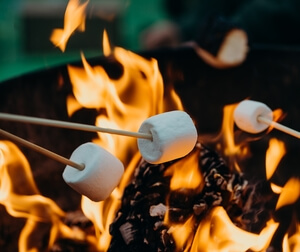 Roasting marshmallows Kim Handysides Voiceover